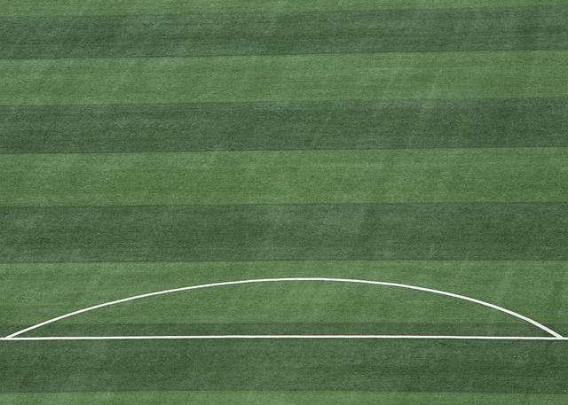 本赛季至今欧洲五大联赛抢断榜：帕利尼亚49次居首